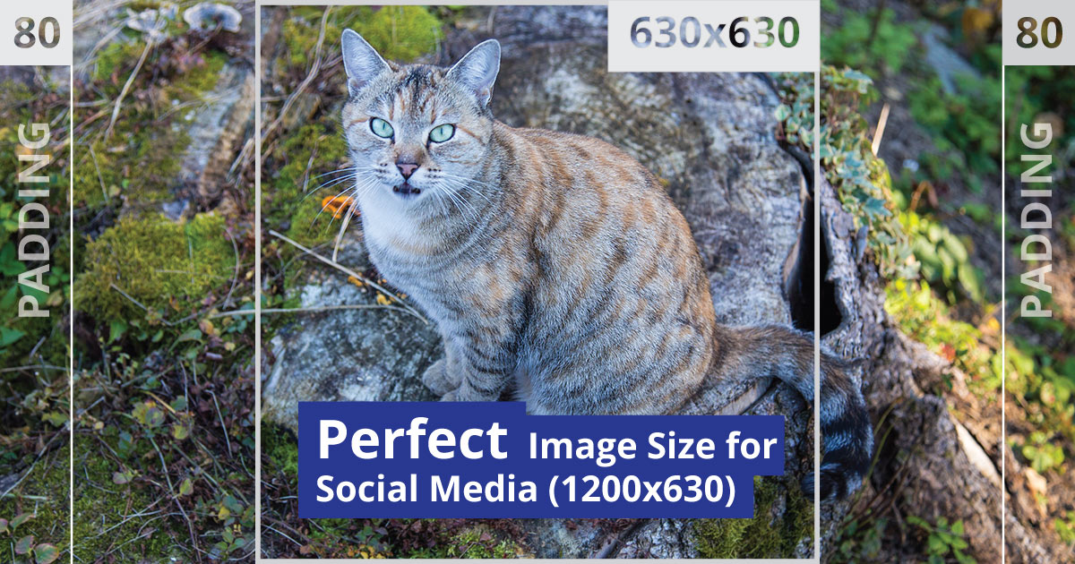 Perfect Image Size for Social Media • Russwurm Perfect Image Size for Social Media • Russwurm